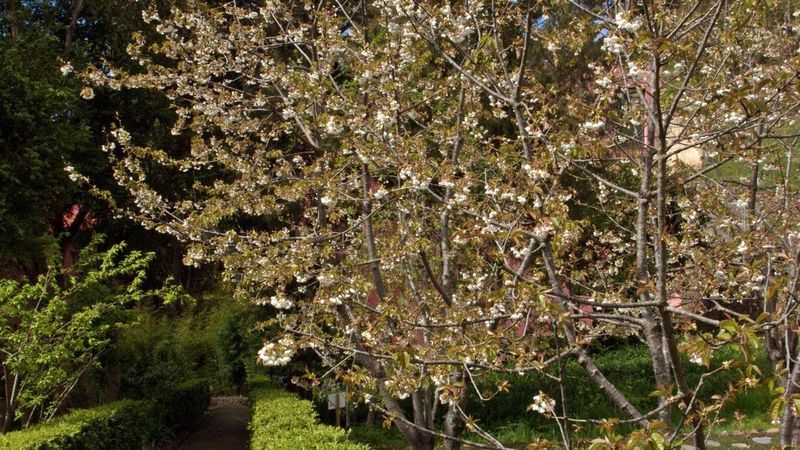 Bio Hotel Quinta Da Serra