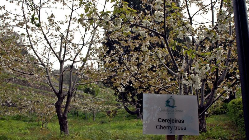 Bio Hotel Quinta Da Serra