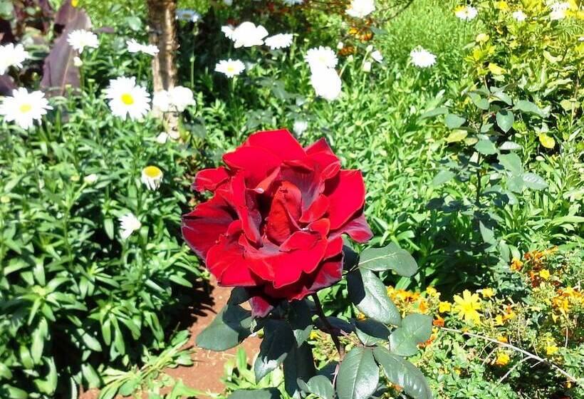 فندق Quinta Splendida Wellness & Botanical Garden