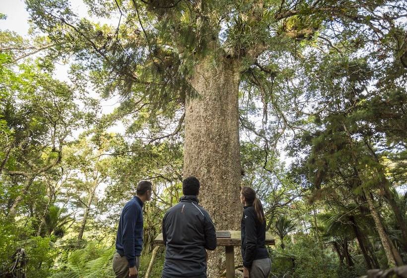 בית מלון כפרי Rosewood Kauri Cliffs