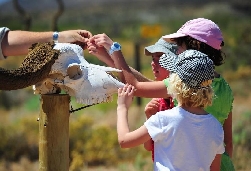 فندق Sanbona Wildlife Reserve