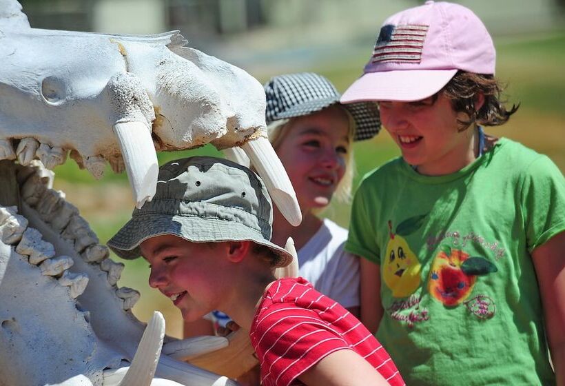 فندق Sanbona Wildlife Reserve