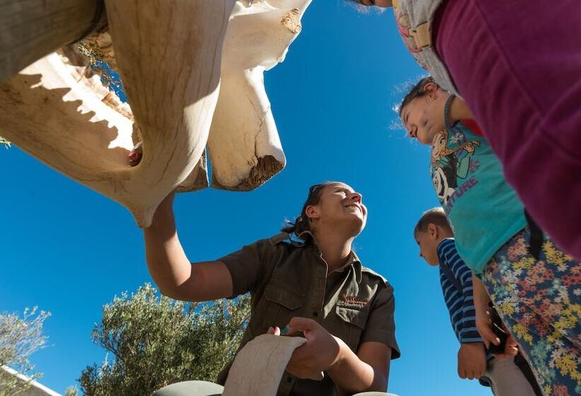 فندق Sanbona Wildlife Reserve