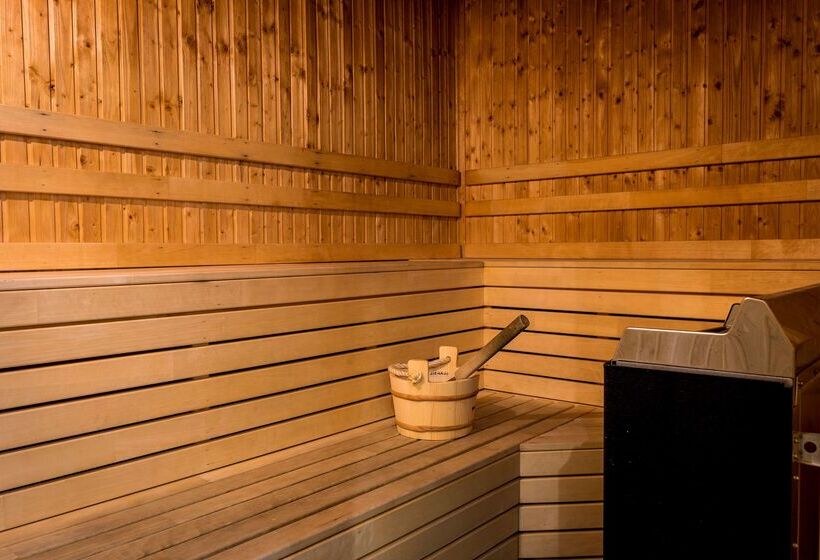 בית מלון כפרי Scandic Swania