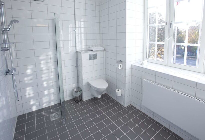 בית מלון כפרי Scandic Swania