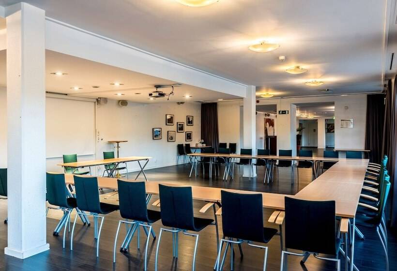 בית מלון כפרי Scandic Swania