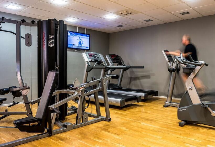 בית מלון כפרי Scandic Swania