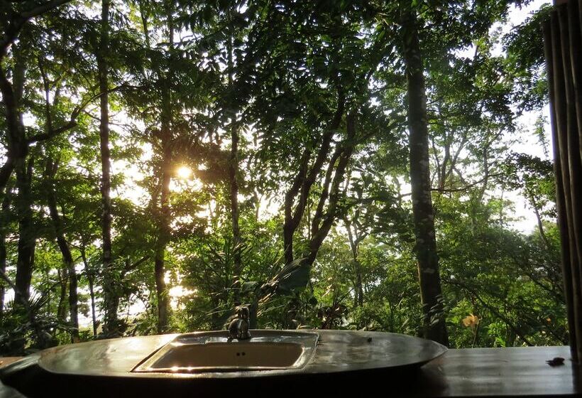 호텔 Tiskita Jungle Lodge