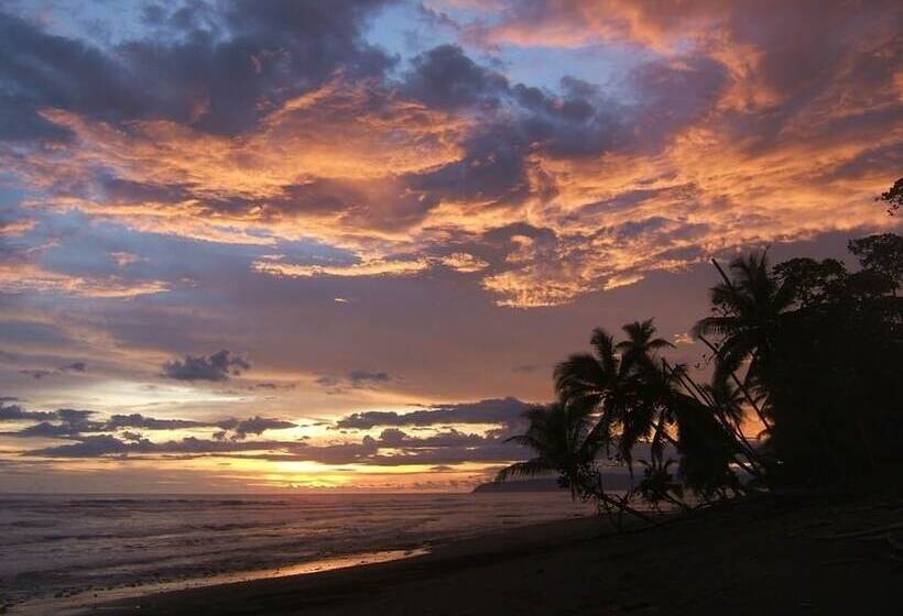 호텔 Tiskita Jungle Lodge