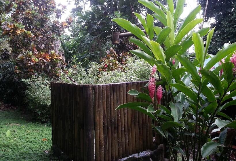 호텔 Tiskita Jungle Lodge