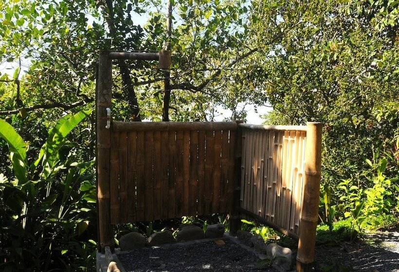 호텔 Tiskita Jungle Lodge