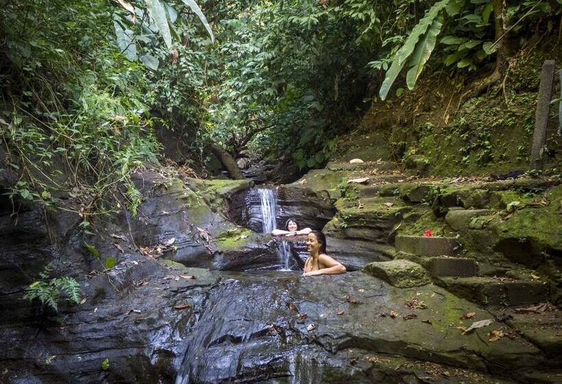 호텔 Tiskita Jungle Lodge