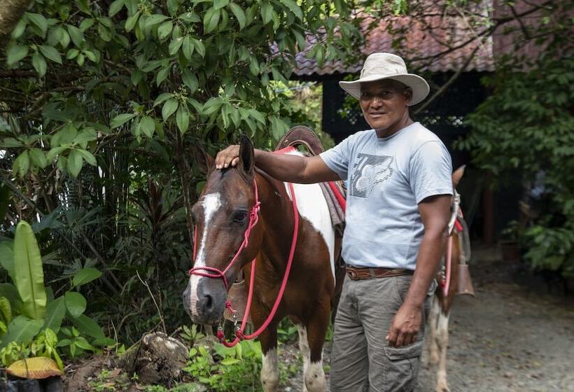 호텔 Tiskita Jungle Lodge