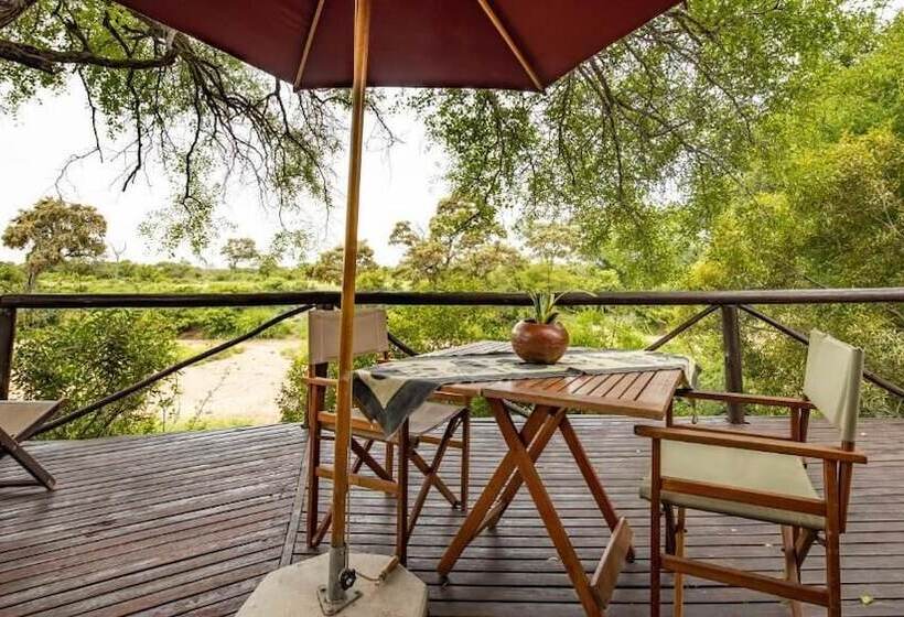 ホテル Umlani Bushcamp   Lodge