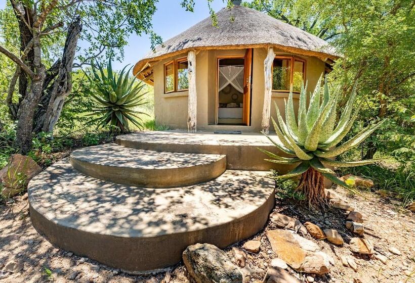 ホテル Umlani Bushcamp   Lodge