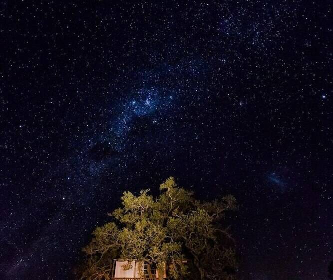 ホテル Umlani Bushcamp   Lodge