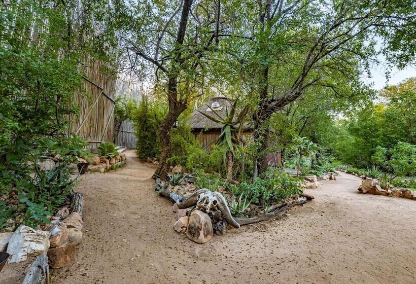 ホテル Umlani Bushcamp   Lodge