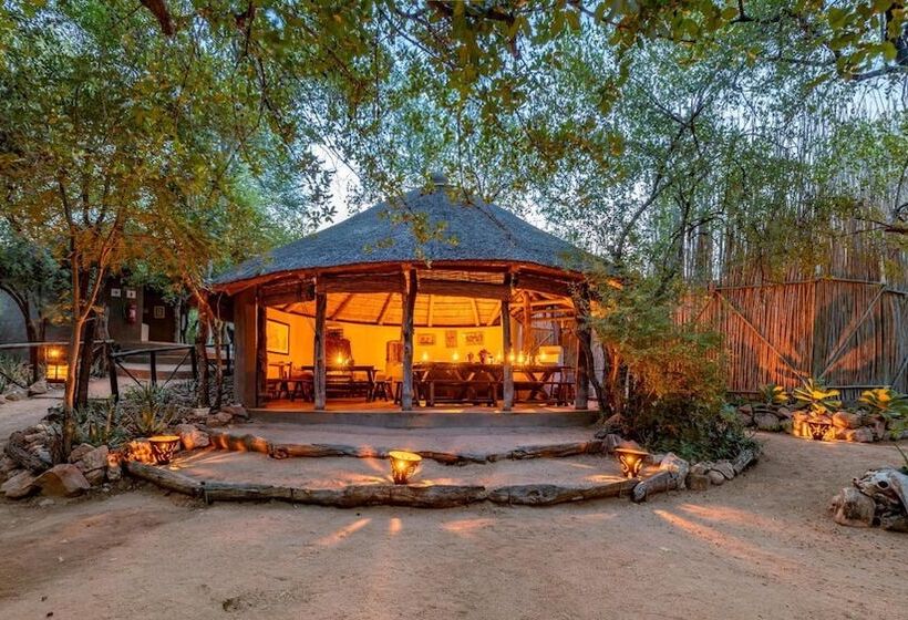 ホテル Umlani Bushcamp   Lodge