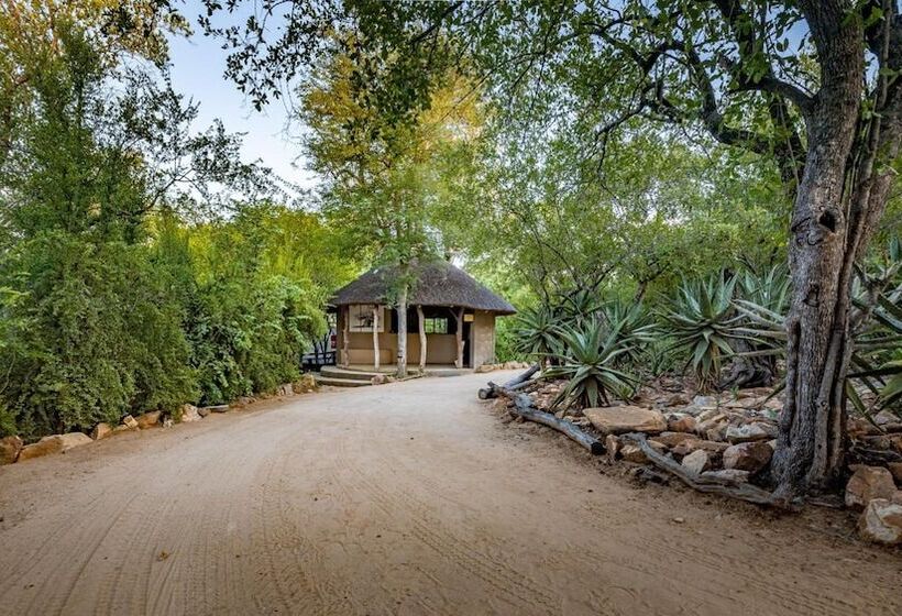 ホテル Umlani Bushcamp   Lodge