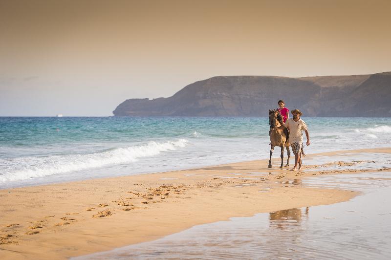 فندق Vila Baleira Porto Santo