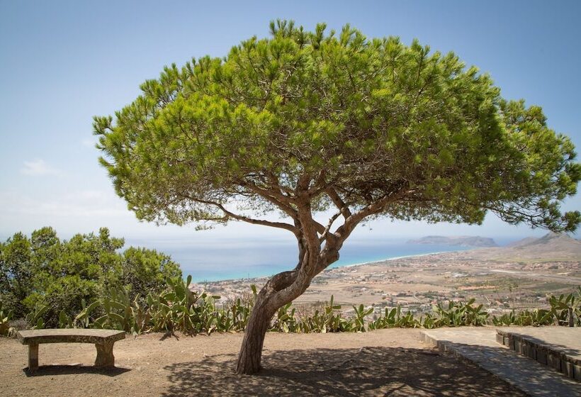 فندق Vila Baleira Porto Santo