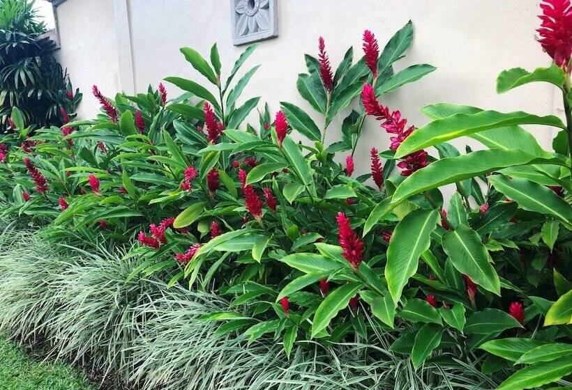 فندق Villa Semana Resort & Spa