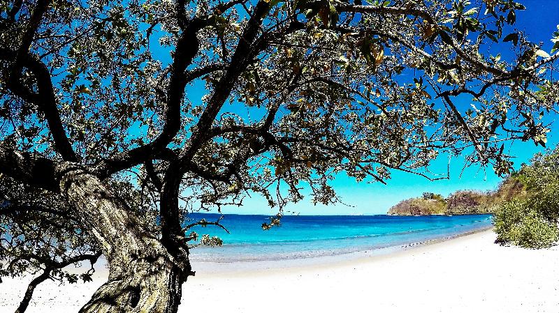 Margaritaville Beach Resort Playa Flamingo