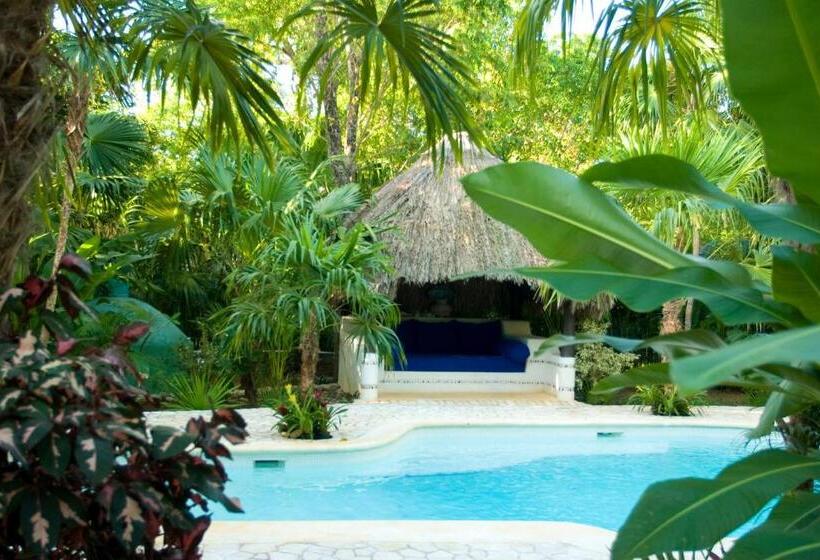 渡假胜地  The Caves