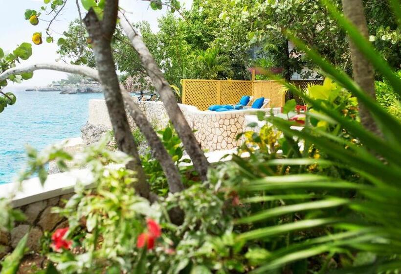 渡假胜地  The Caves