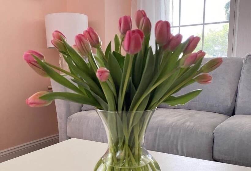 فندق صغير Saltwater Inn