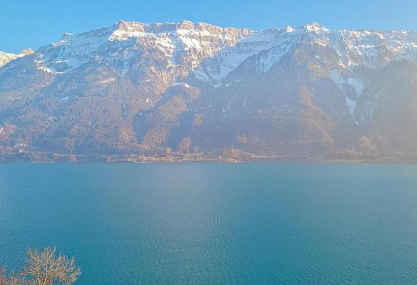 Alpina Boutique Hotel Ringgenberg   Adults Only !