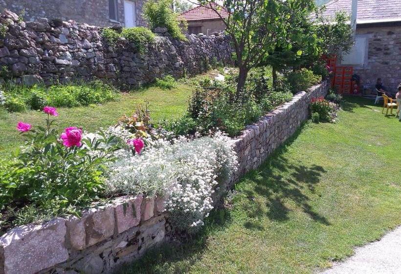 تختخواب و صبحانه Baba I Dede