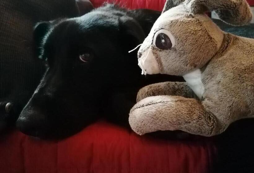 בית מלון כפרי Agriturismo Sentiero Delle Fiabe