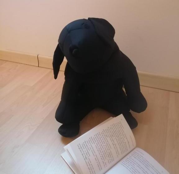 בית מלון כפרי Agriturismo Sentiero Delle Fiabe