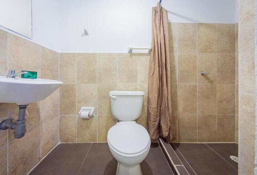 فندق Puerto Vigia