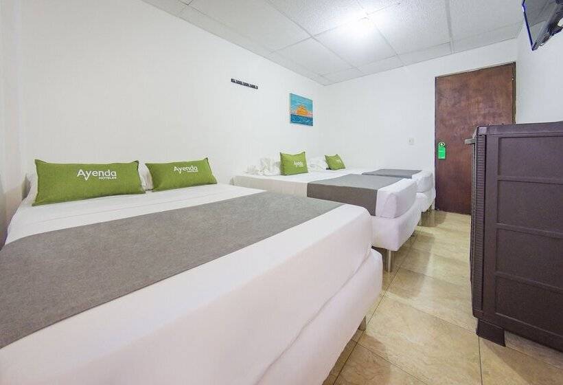 فندق Puerto Vigia