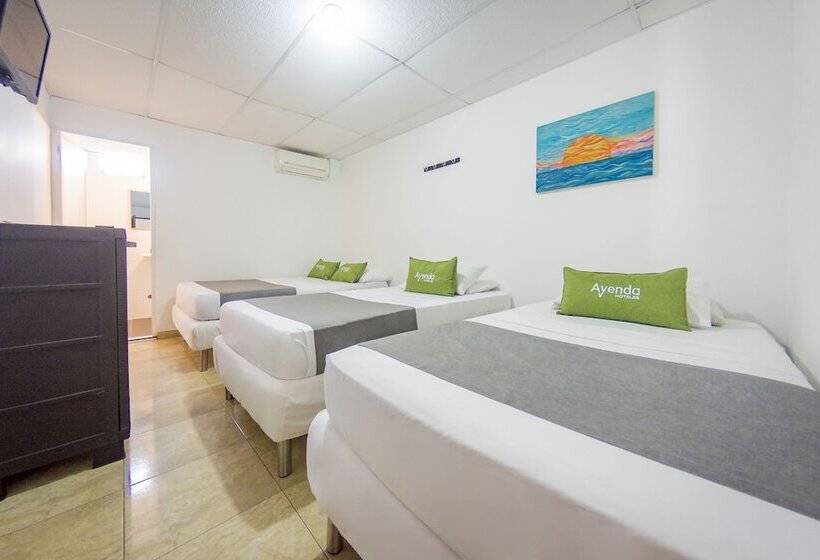 فندق Puerto Vigia