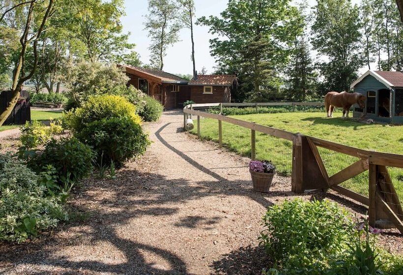 בית מלון כפרי De Nieuwe Tijd Wieringermeer