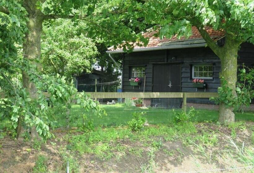 בית מלון כפרי De Nieuwe Tijd Wieringermeer