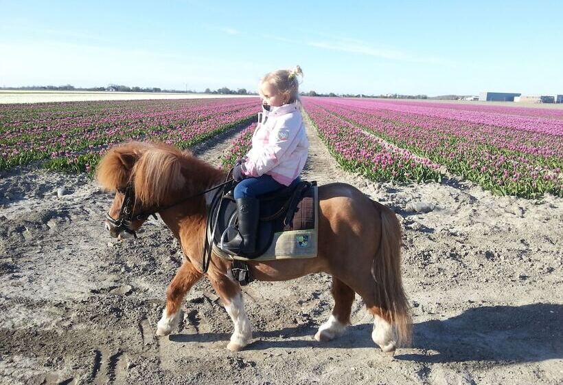 בית מלון כפרי De Nieuwe Tijd Wieringermeer