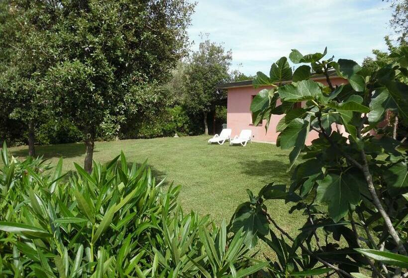 בית מלון כפרי La Casa Rosa