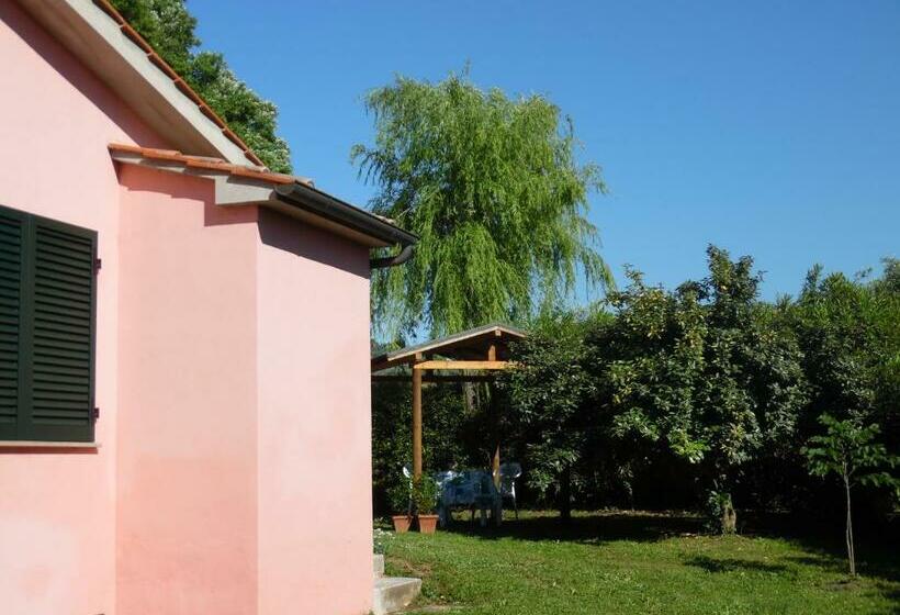 בית מלון כפרי La Casa Rosa