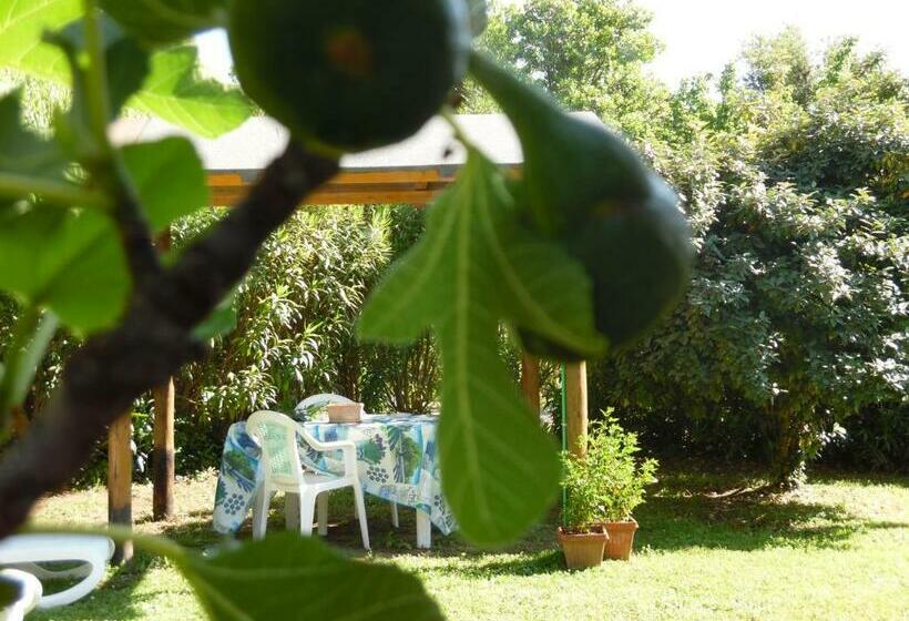 בית מלון כפרי La Casa Rosa