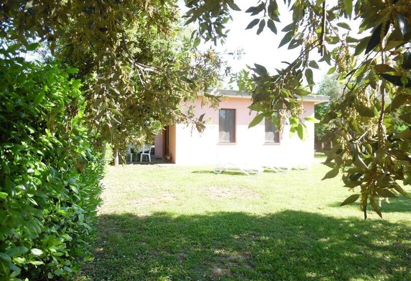 בית מלון כפרי La Casa Rosa