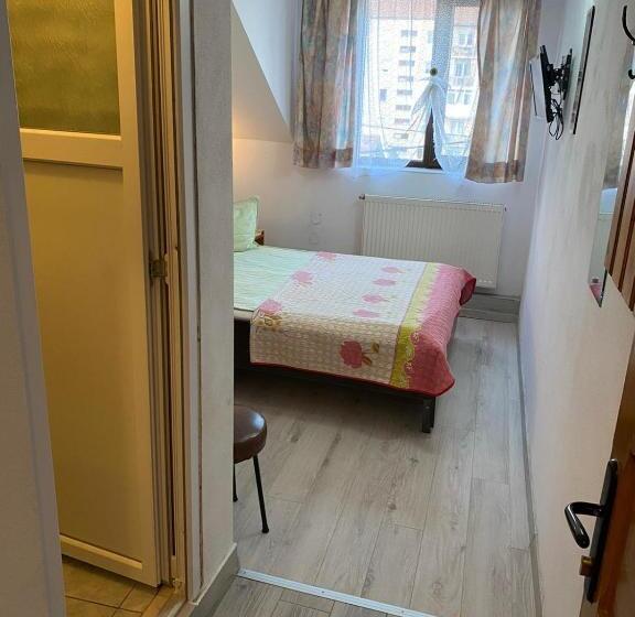 فندق Pensiune Turist