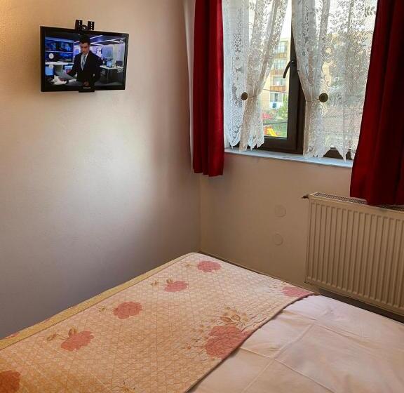 فندق Pensiune Turist