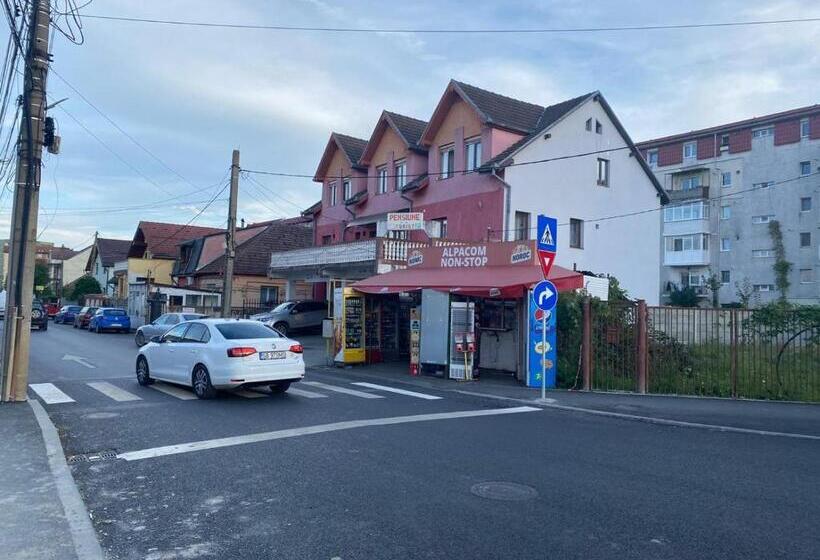 فندق Pensiune Turist