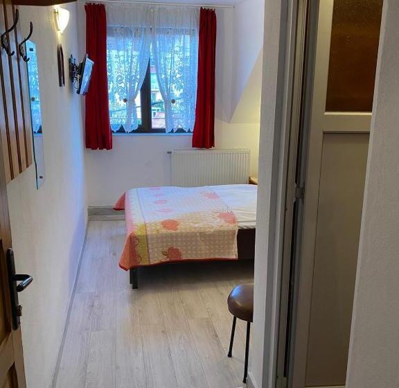 فندق Pensiune Turist