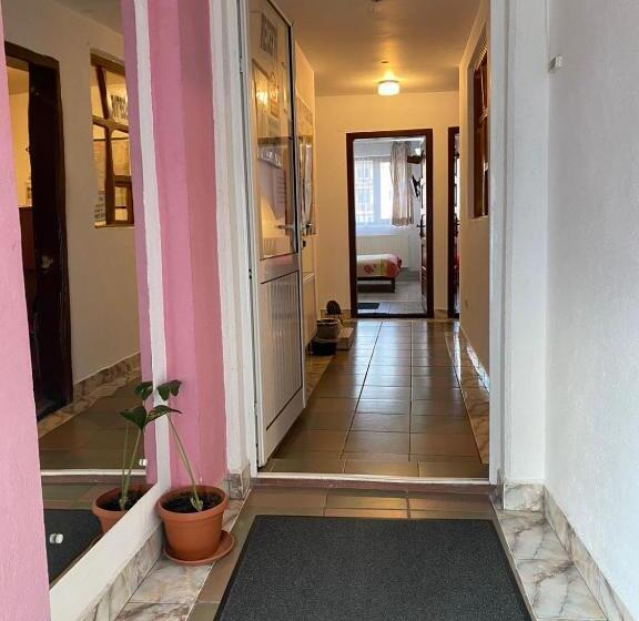 فندق Pensiune Turist