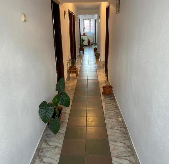 فندق Pensiune Turist